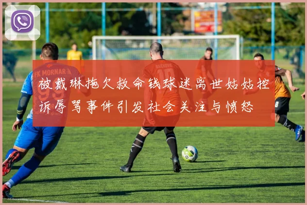 被戴琳拖欠救命钱球迷离世姑姑控诉辱骂事件引发社会关注与愤怒