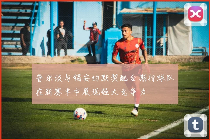 普尔谈与锡安的默契配合期待球队在新赛季中展现强大竞争力