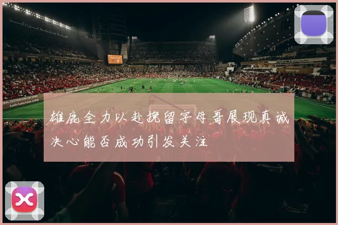 雄鹿全力以赴挽留字母哥展现真诚决心能否成功引发关注
