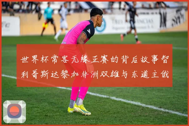 世界杯常客无缘正赛的背后故事智利哥斯达黎加非洲双雄与东道主俄罗斯的遗憾
