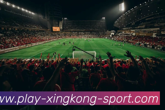 多媒体互动体验