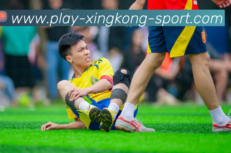 星空体育APP 高清赛事图